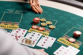 5333bet